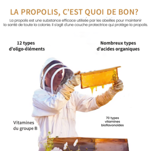 Vitalité, Immunité et Éclat Naturel vitalité, immunité et Éclat naturel